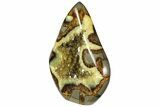 Free-Standing, Polished Utah Septarian - Beautiful Crystals #169998-3